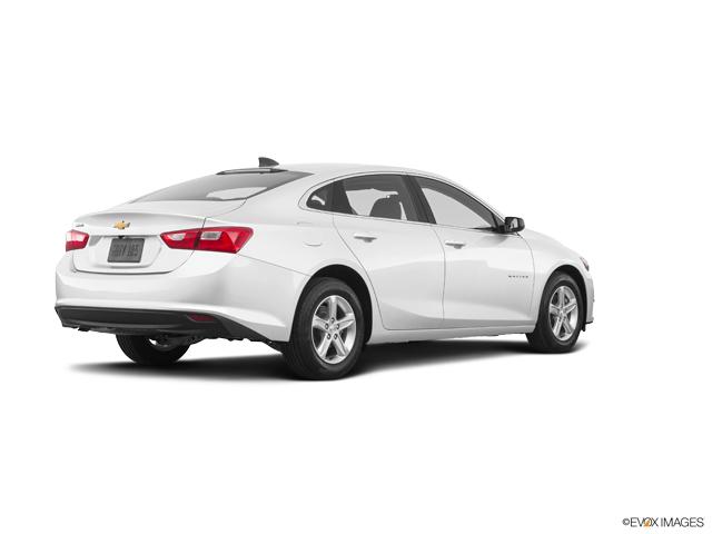 2020 Chevrolet Malibu Vehicle Photo in INDEPENDENCE, MO 64055-1314