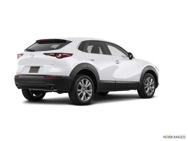 2020 Mazda CX-30 Vehicle Photo in TREVOSE, PA 19053-4984