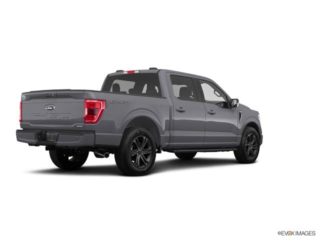 2022 Ford F-150 Vehicle Photo in Savannah, GA 31419