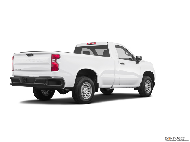 2023 Chevrolet Silverado 1500 Vehicle Photo in BEAUFORT, SC 29906-4218