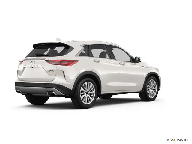 2024 INFINITI QX50 Vehicle Photo in Appleton, WI 54913