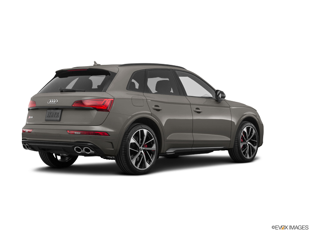 2024 Audi SQ5 Vehicle Photo in Trevose, PA 19053