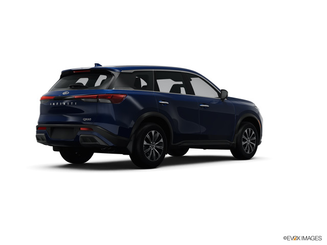 2024 INFINITI QX60 Vehicle Photo in Tustin, CA 92782