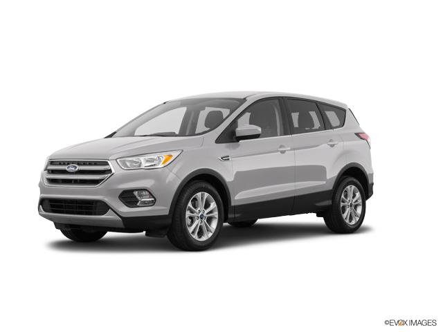 2018 Ford Escape Vehicle Photo in Statesboro, GA 30458