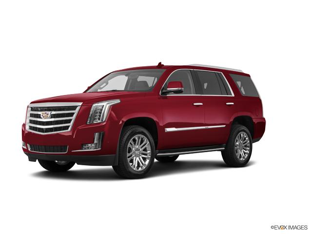 2019 Cadillac Escalade 1GYS3CKJ6KR118229