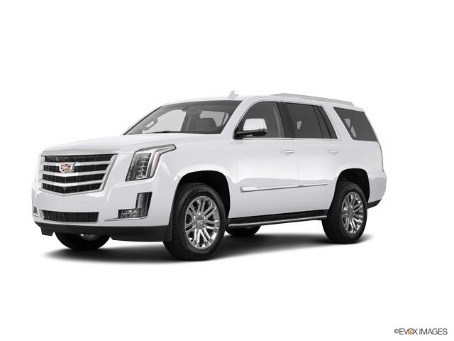 2019 Cadillac Escalade Vehicle Photo in BRUNSWICK, GA 31525-1881