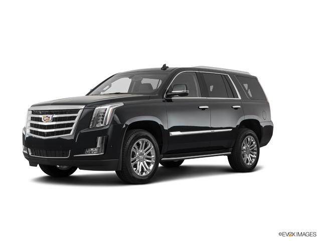 2019 Cadillac Escalade Vehicle Photo in TREVOSE, PA 19053-4984