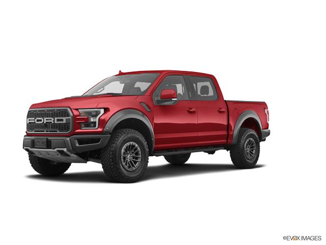 2019 Ford F-150 Vehicle Photo in POOLER, GA 31322-3252