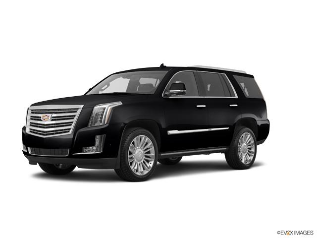 2019 Cadillac Escalade Vehicle Photo in TOPEKA, KS 66609-0000