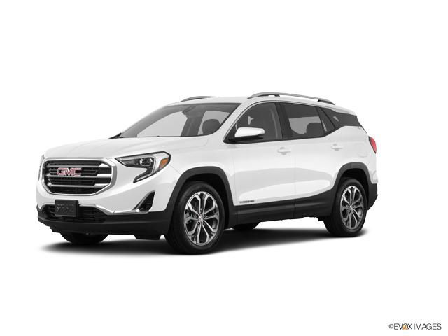 2020 GMC Terrain Vehicle Photo in Brunswick, GA 31525