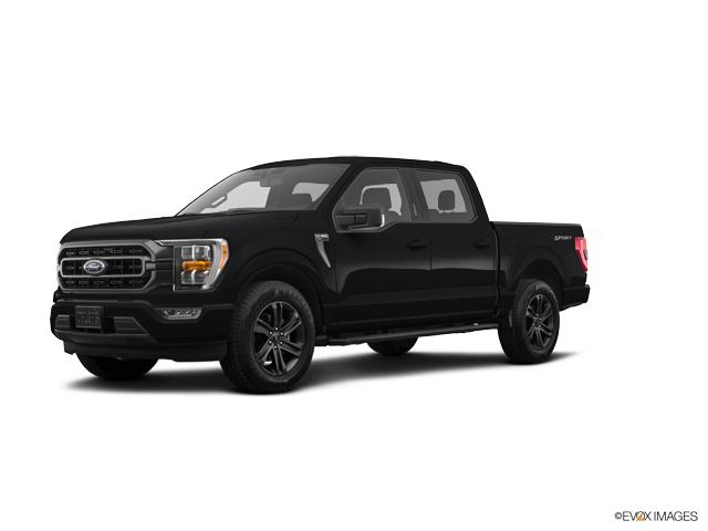 2022 Ford F-150 Vehicle Photo in INDEPENDENCE, MO 64055-1377