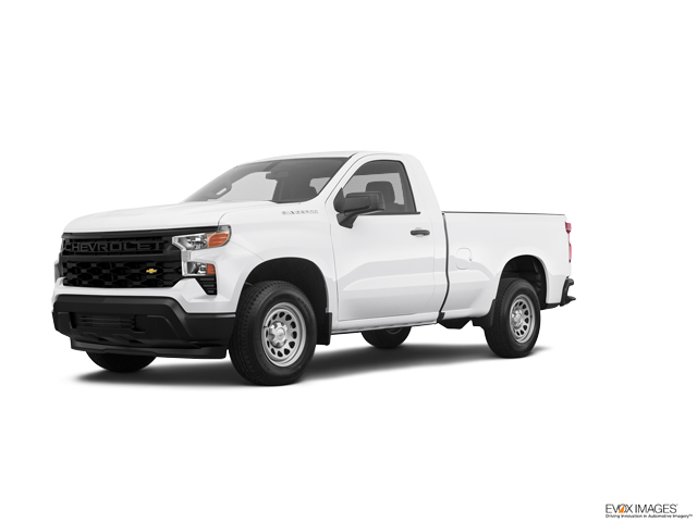 2023 Chevrolet Silverado 1500 Vehicle Photo in Hinesville, GA 31313