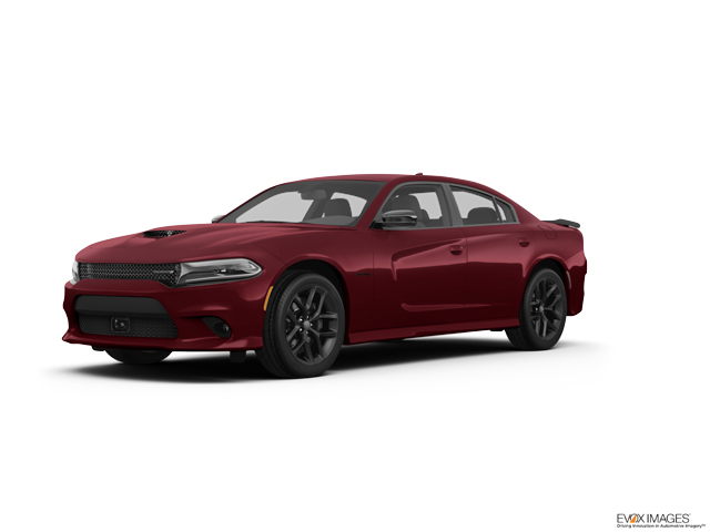 2023 Dodge Charger Vehicle Photo in Hinesville, GA 31313