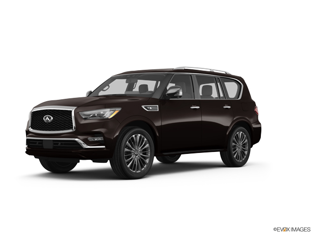 2024 INFINITI QX80 Vehicle Photo in Willow Grove, PA 19090