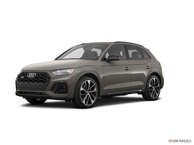 2024 Audi SQ5 Vehicle Photo in Trevose, PA 19053