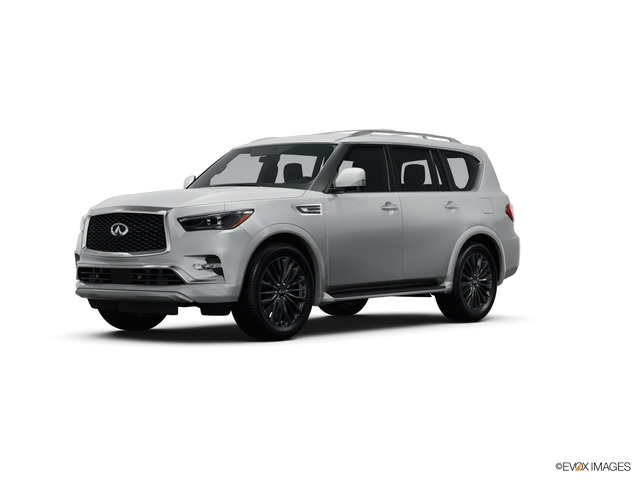 2024 INFINITI QX80 Vehicle Photo in Bluffton, SC 29910