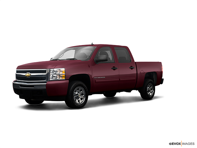 2009 Chevrolet Silverado 1500 3GCEK33M79G149465