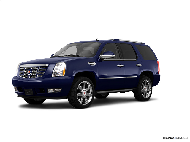 2010 Cadillac Escalade 1GYUCAEF0AR263351