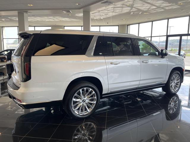 used 2024 Cadillac Escalade ESV car, priced at $109,665