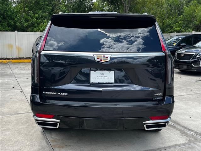 used 2024 Cadillac Escalade car